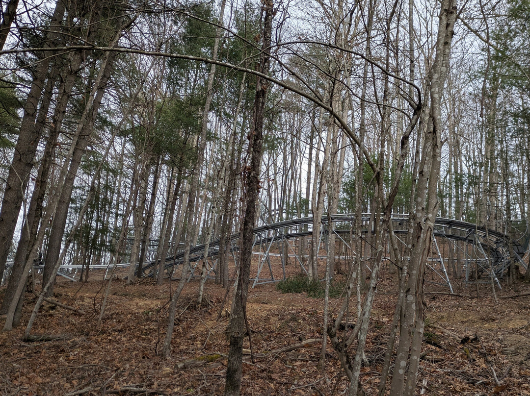 Brush Creek Holl'r Mountain Coaster-普林斯顿必去景点