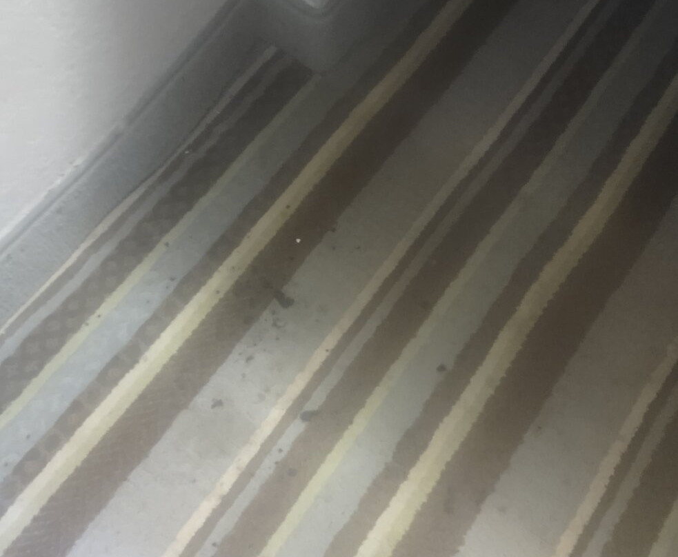 Super 8 by Wyndham Enid主图