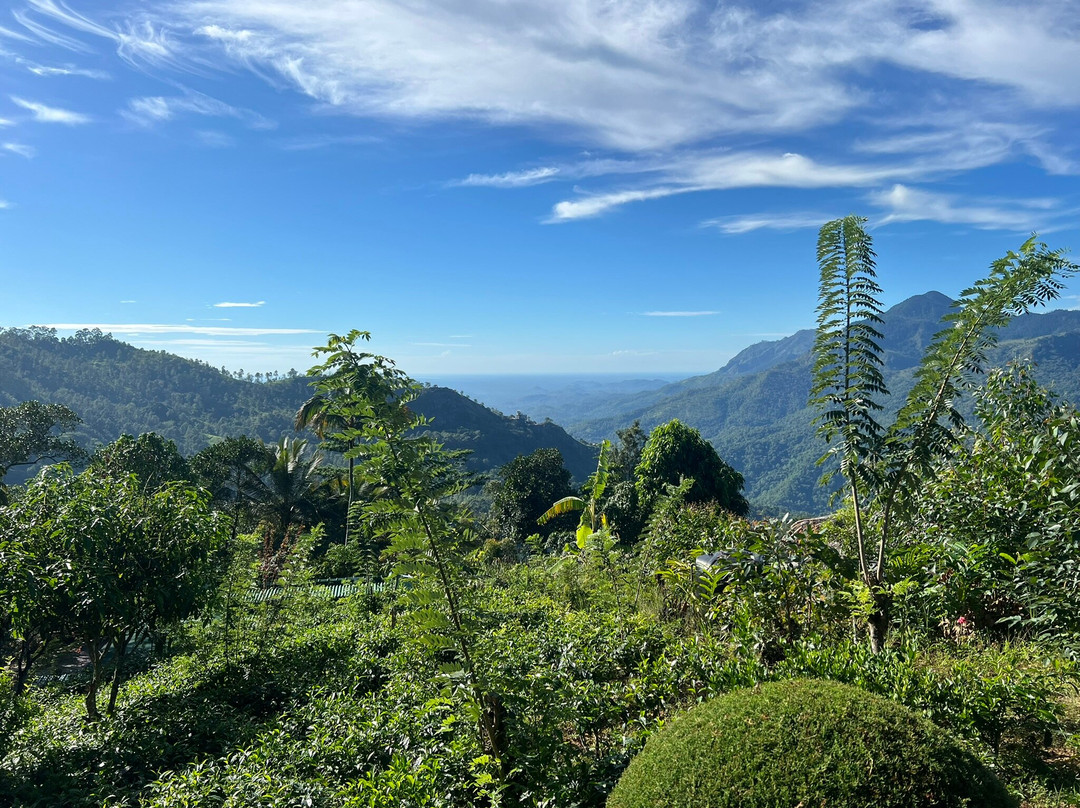 Best of Lanka-科伦坡必去景点