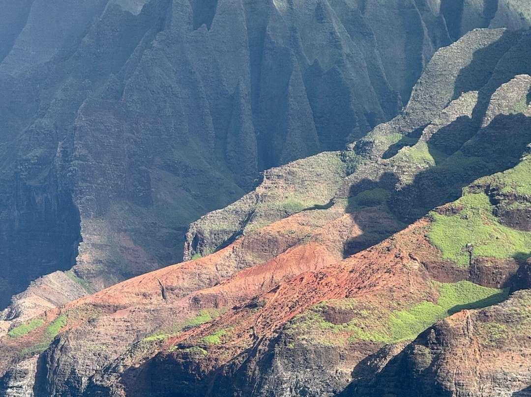 Blue Dolphin Charters-埃里埃利必去景点