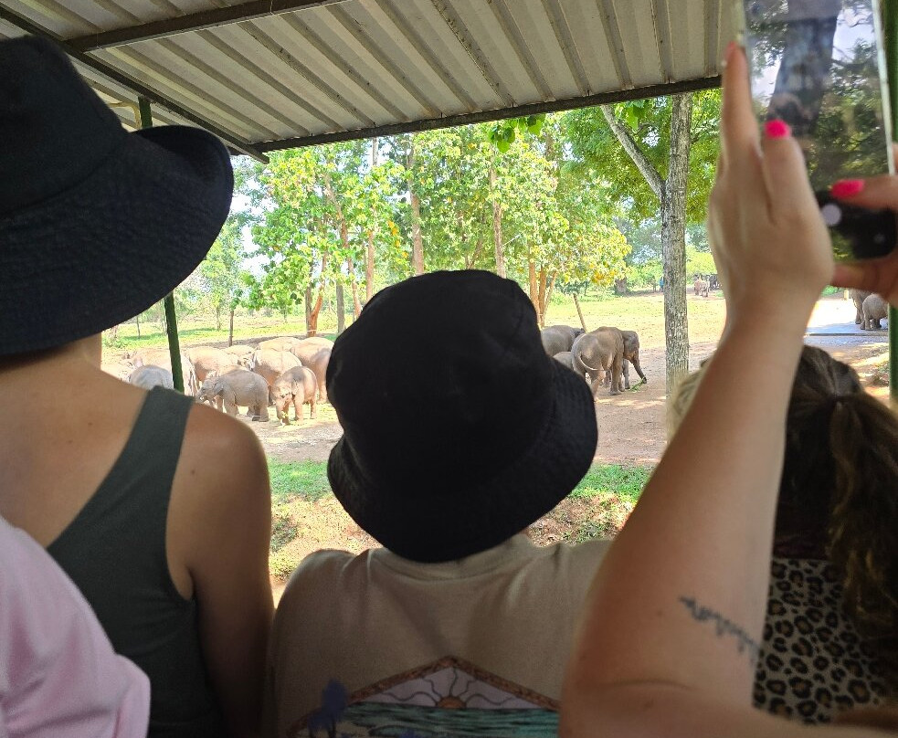 Udawalawa Elephant Orphanage-乌达瓦拉瓦必去景点