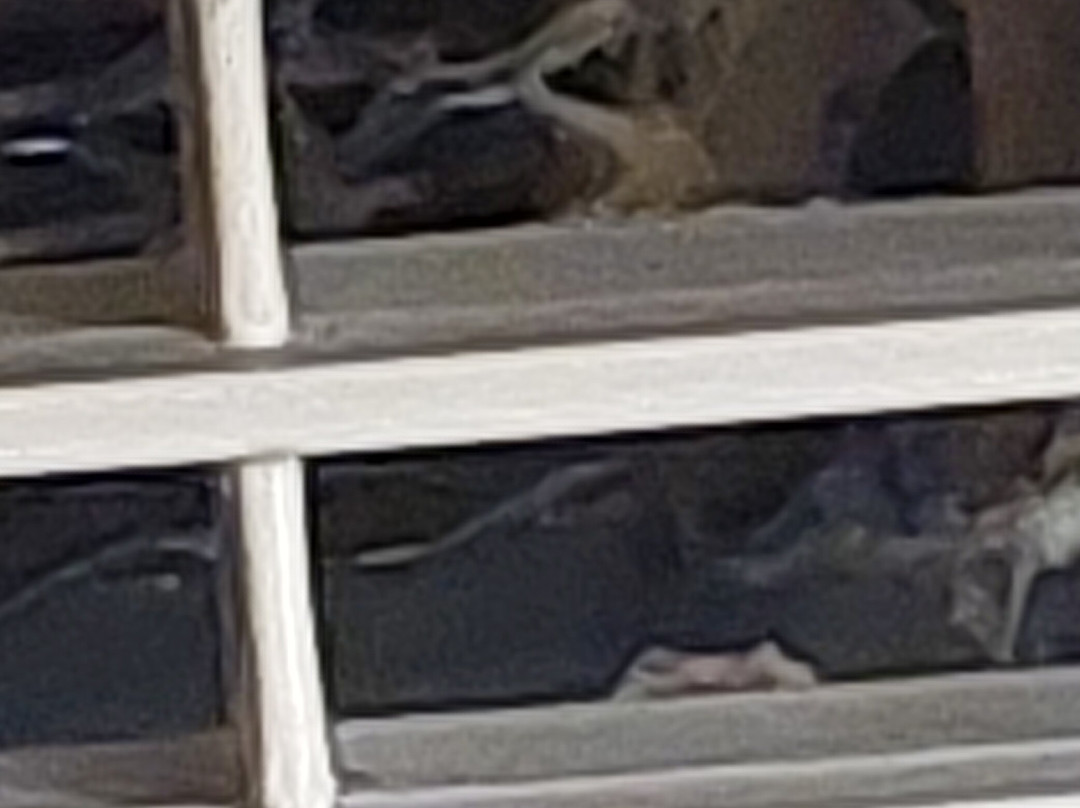 Quality Inn & Suites主图