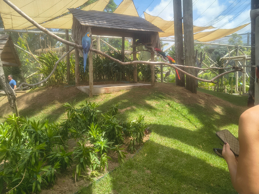 Parque Arvorar-Aquiraz必去景点