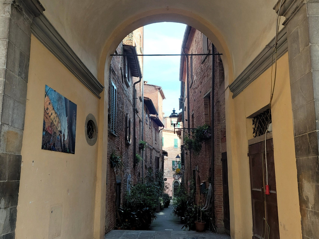 Palazzo Granducale-Foiano della Chiana必去景点