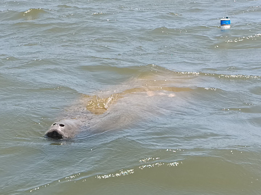 Rota do Peixe-Boi-Marinho-Estancia必去景点