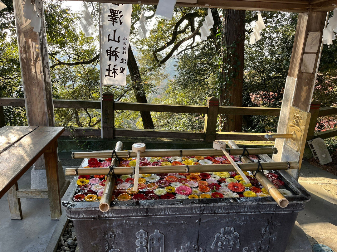 Karasawayama Jinja Shrine-佐野市必去景点