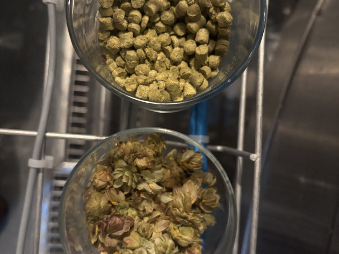 FIRST Craft Beer Brewery & Taproom-布达佩斯必去景点