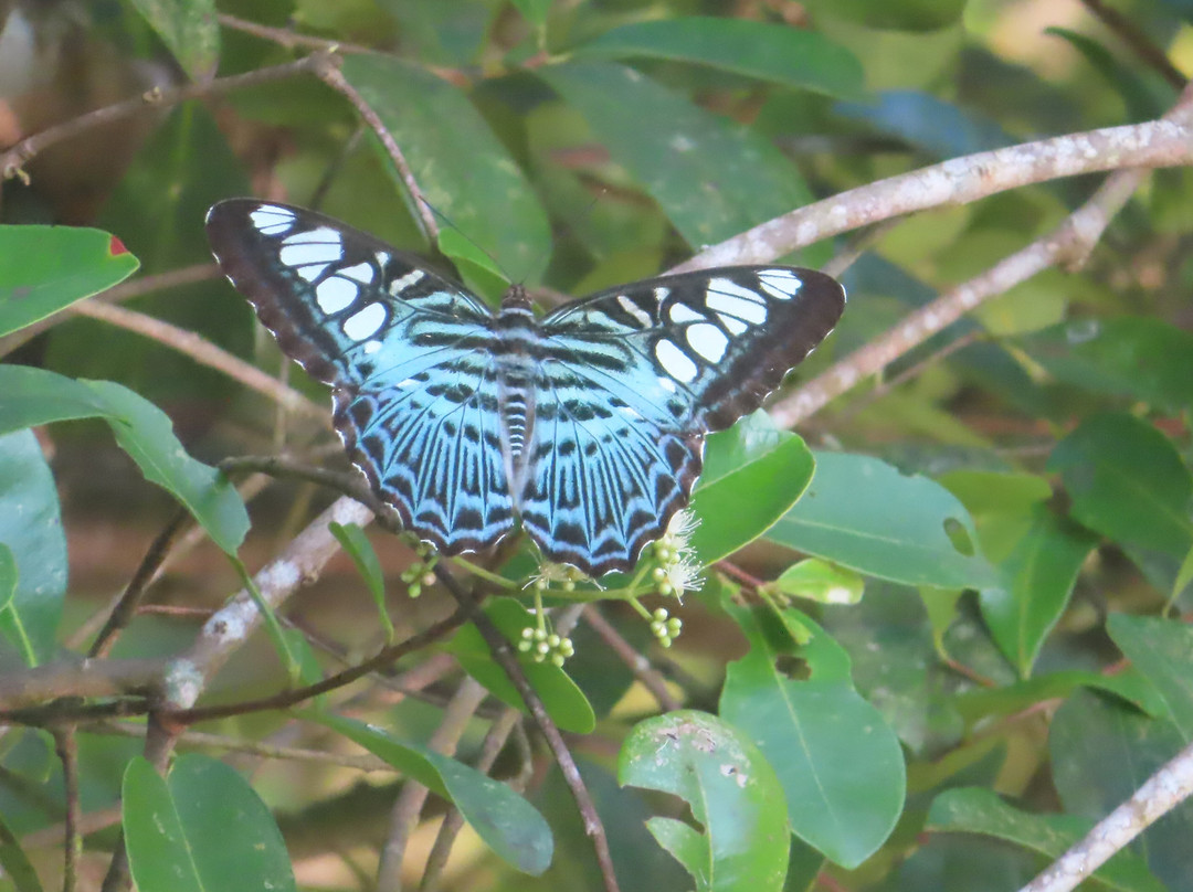 Wanakaset Sri Lanka-Kitulgala必去景点