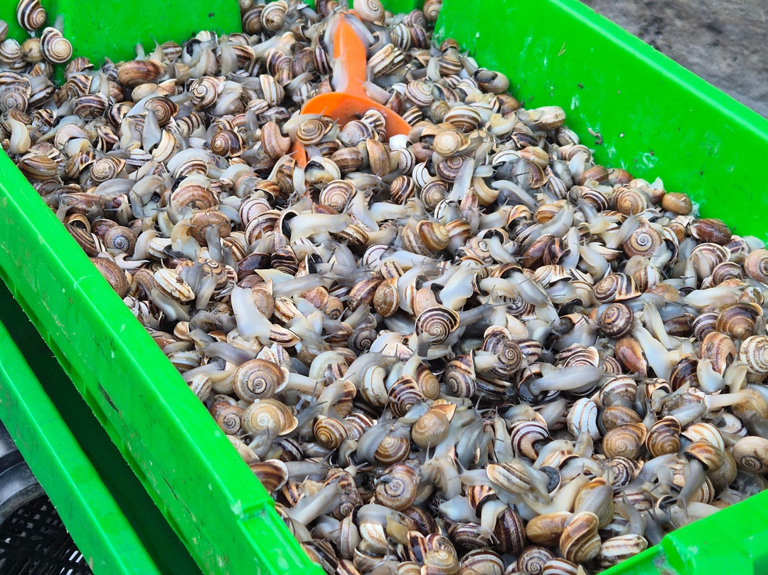 Let's Eat The World-塞维利亚必去景点