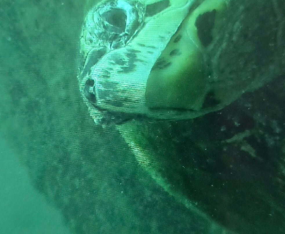Huatulco Dive Center-瓦图尔科必去景点