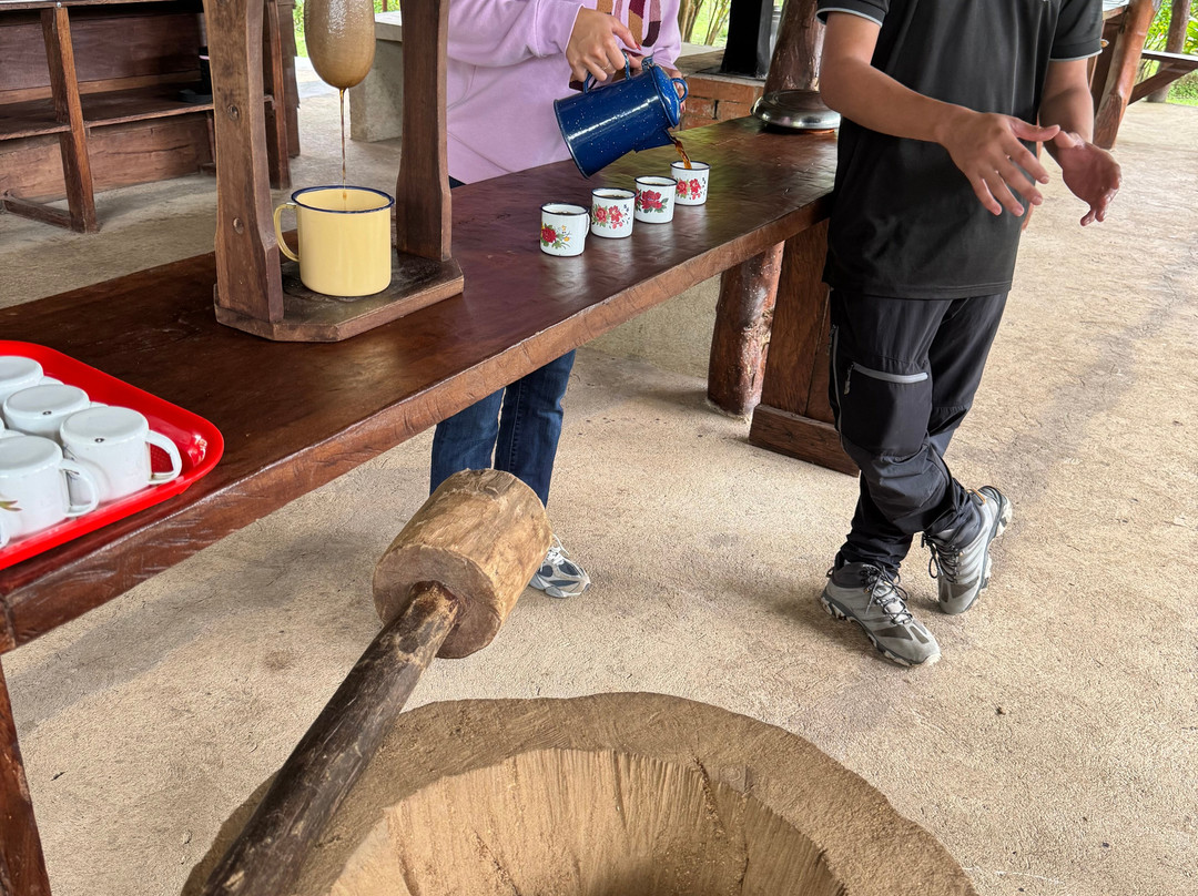 Cafe & Cacao Tour Bijagua-Bijagua de Upala必去景点