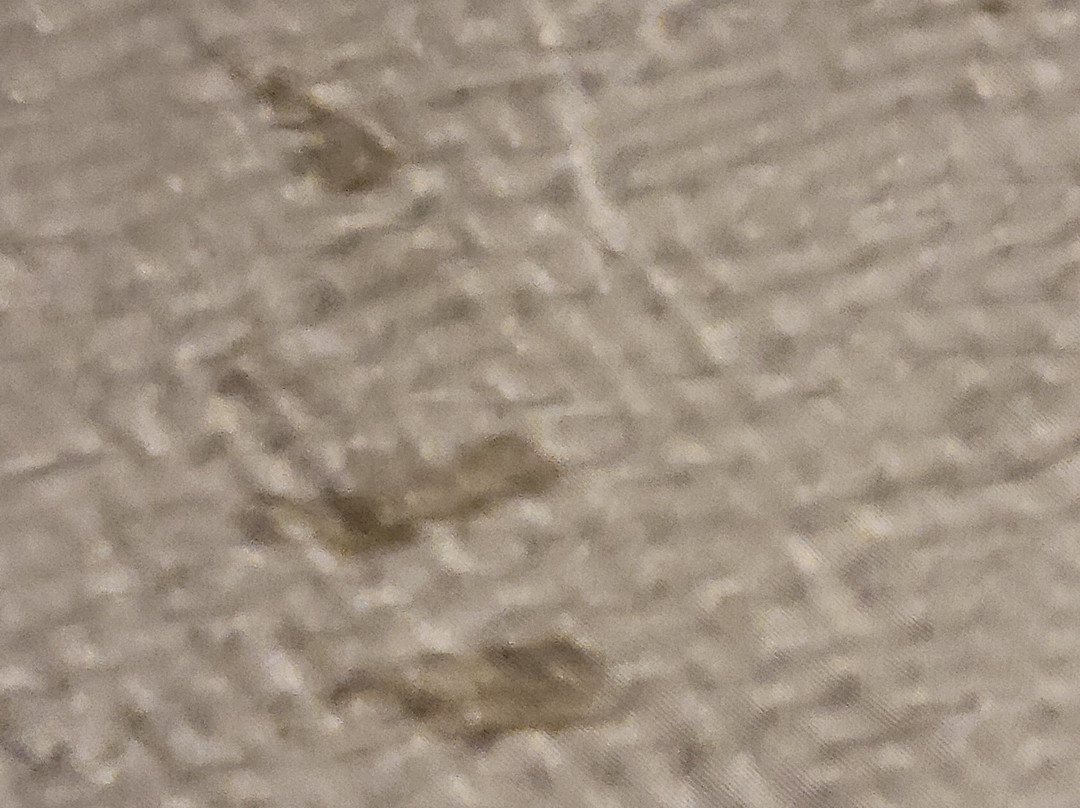 Red Roof Inn Dayton South - Miamisburg主图