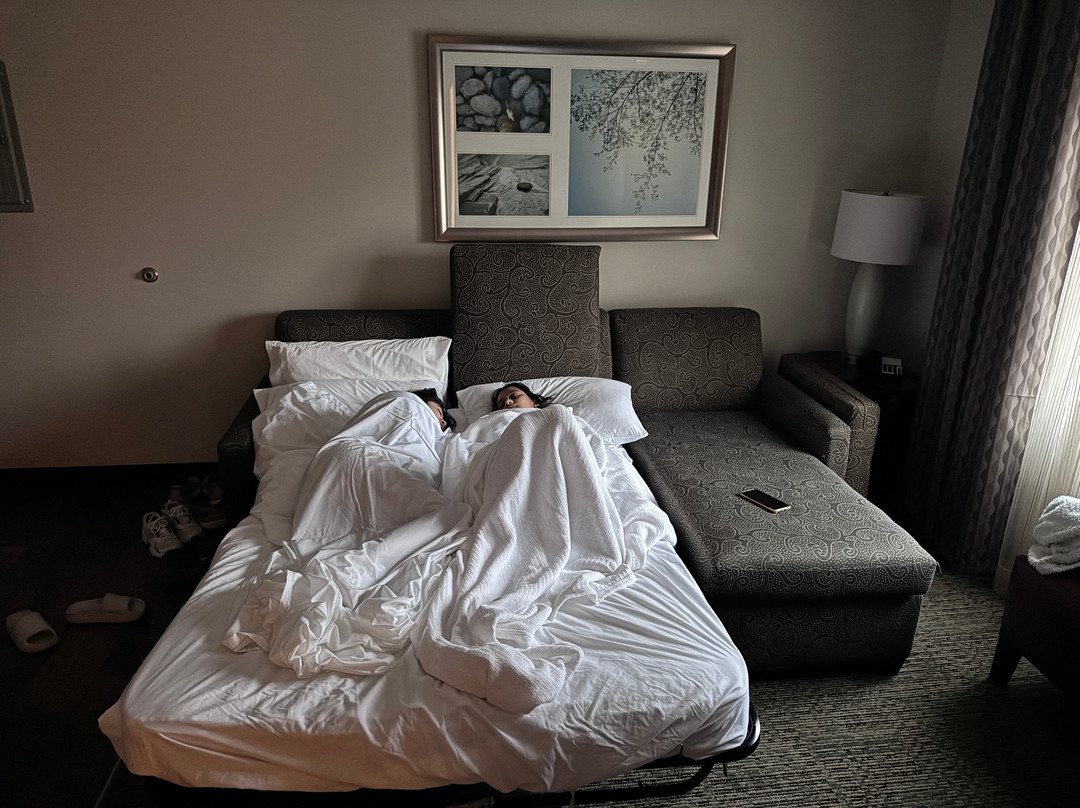 Staybridge Suites Ann Arbor - Univ of Michigan by IHG主图