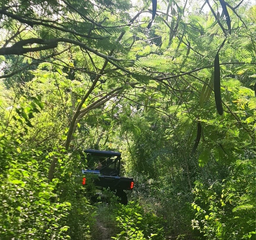 BUGGY Quad Martinique-Le Diamant必去景点