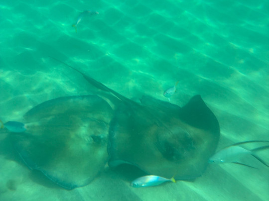 Crash boat Experiences-Aguadilla必去景点