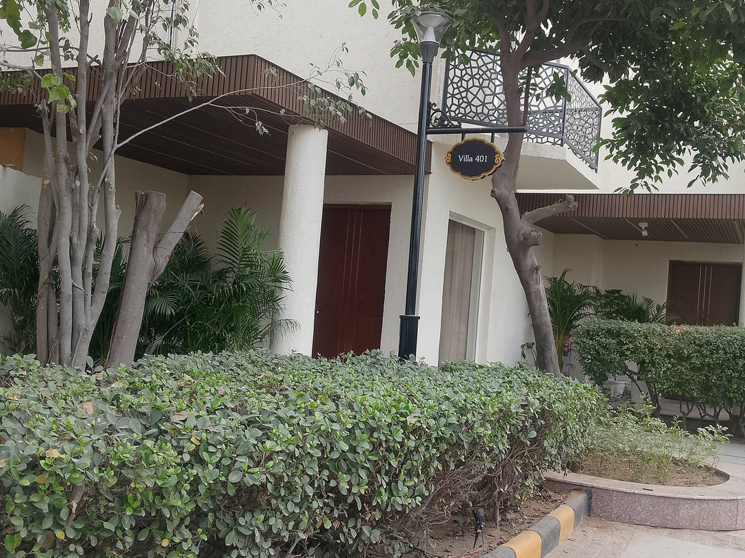 Fortune Park Orange主图