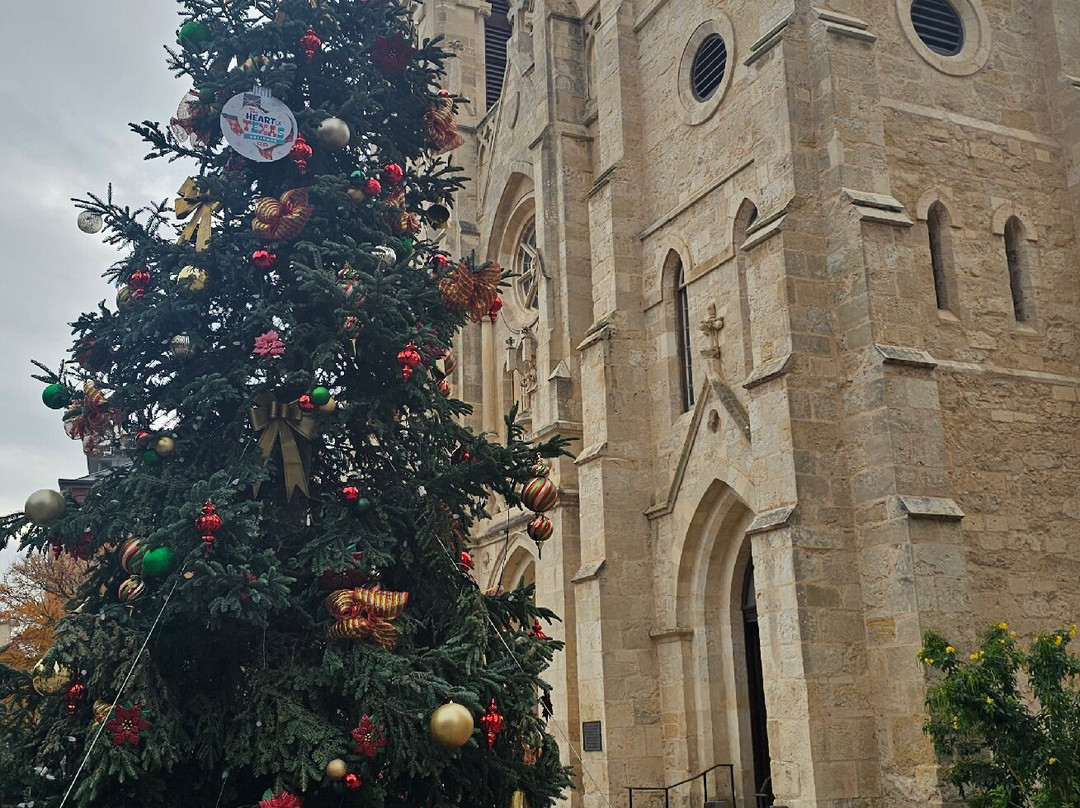 San Fernando De Bexar Cathedral-圣安东尼奥市必去景点