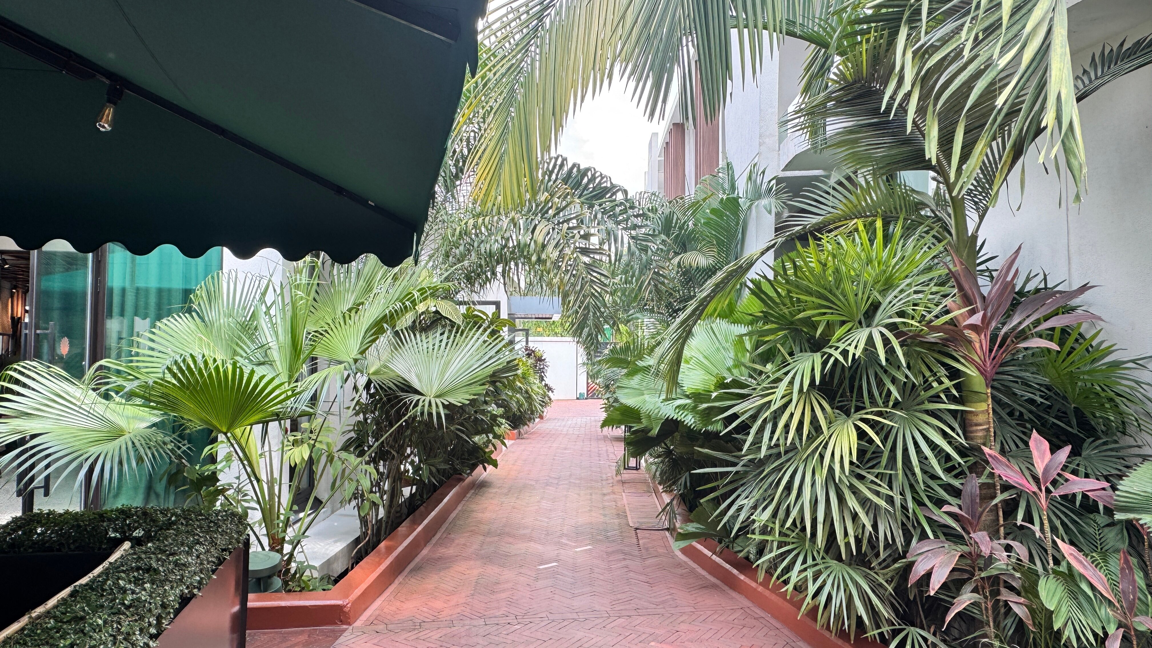 La Maison Palmier-泳池