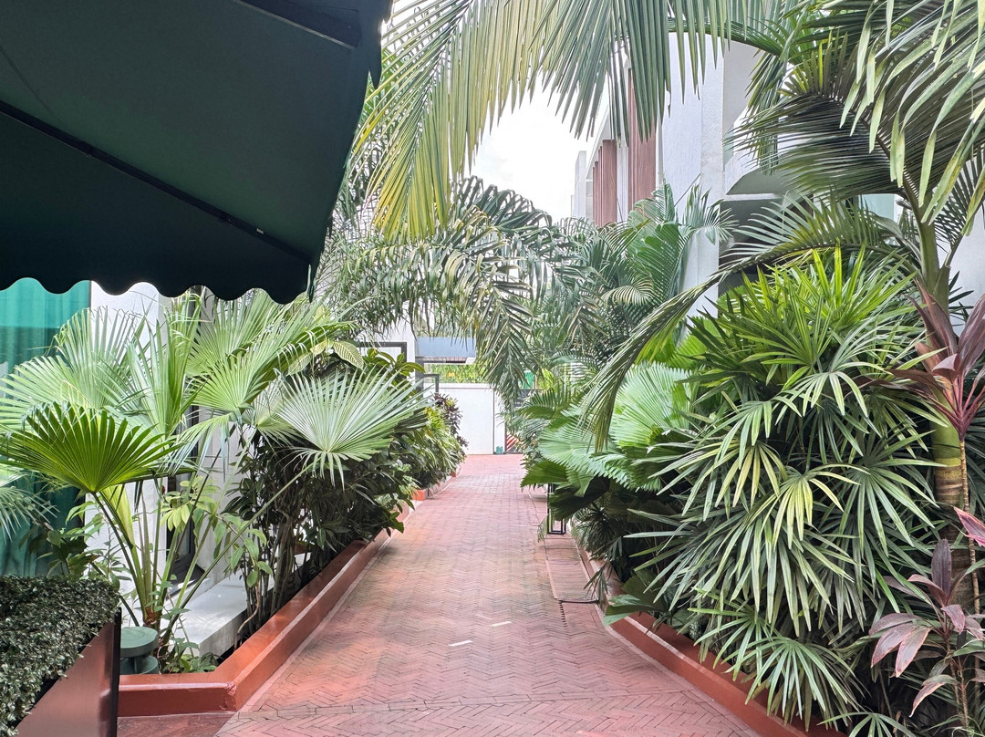 La Maison Palmier主图