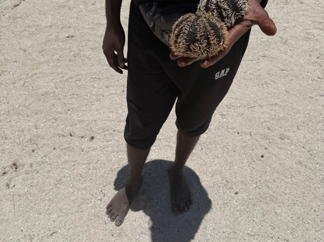 Croisières Australes-大湾必去景点