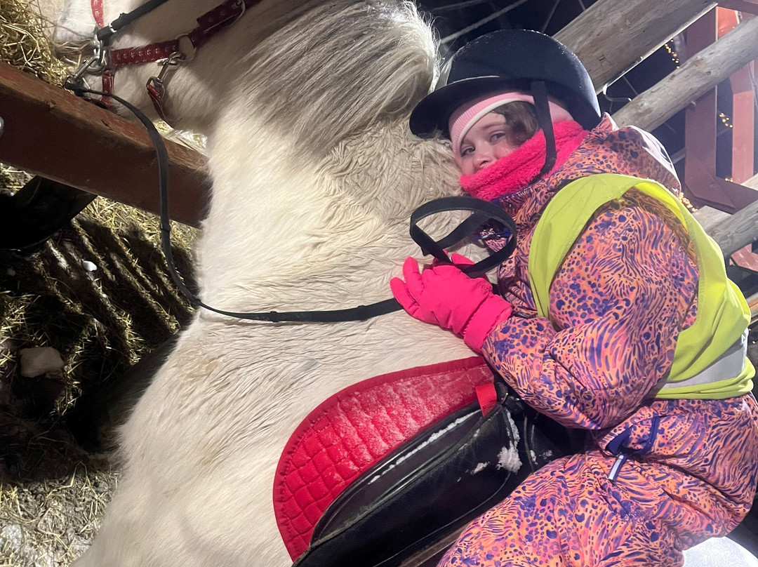 Lapin Saaga Icelandic Horse Stable in Levi-Sirkka必去景点