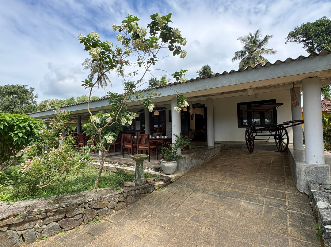 Unique View Sri Lanka-Yakkala必去景点