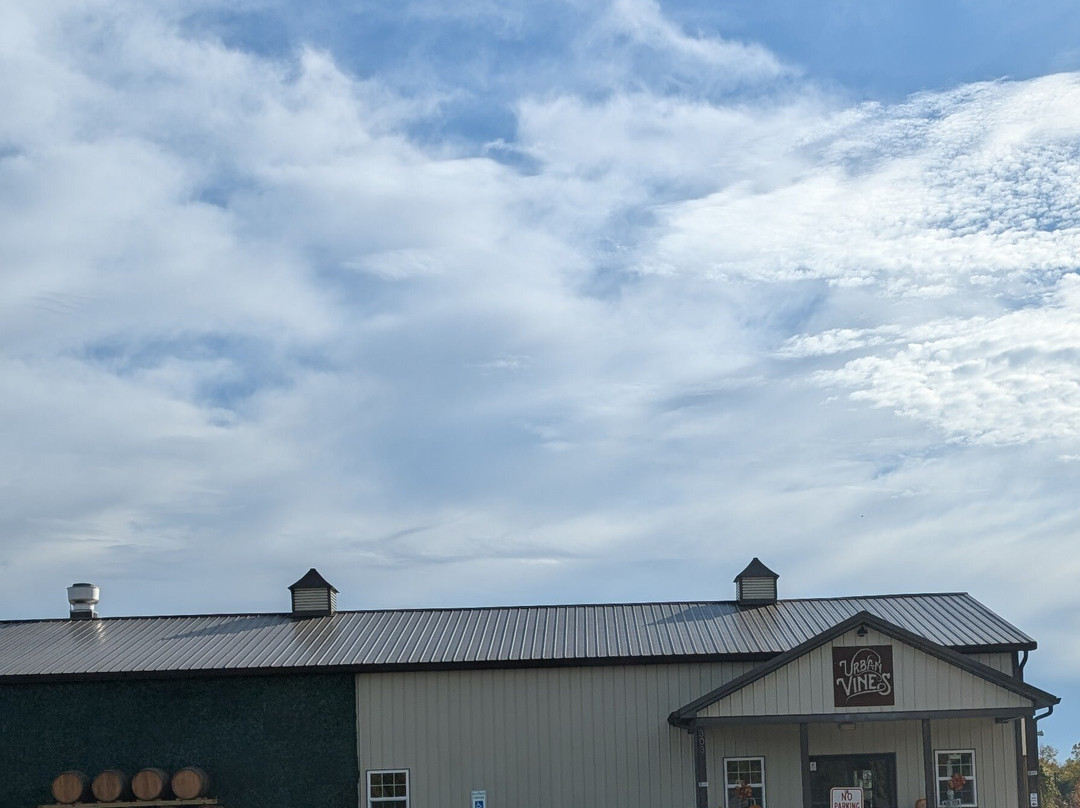 Urban Vines Winery & Brewery Co.-Westfield必去景点