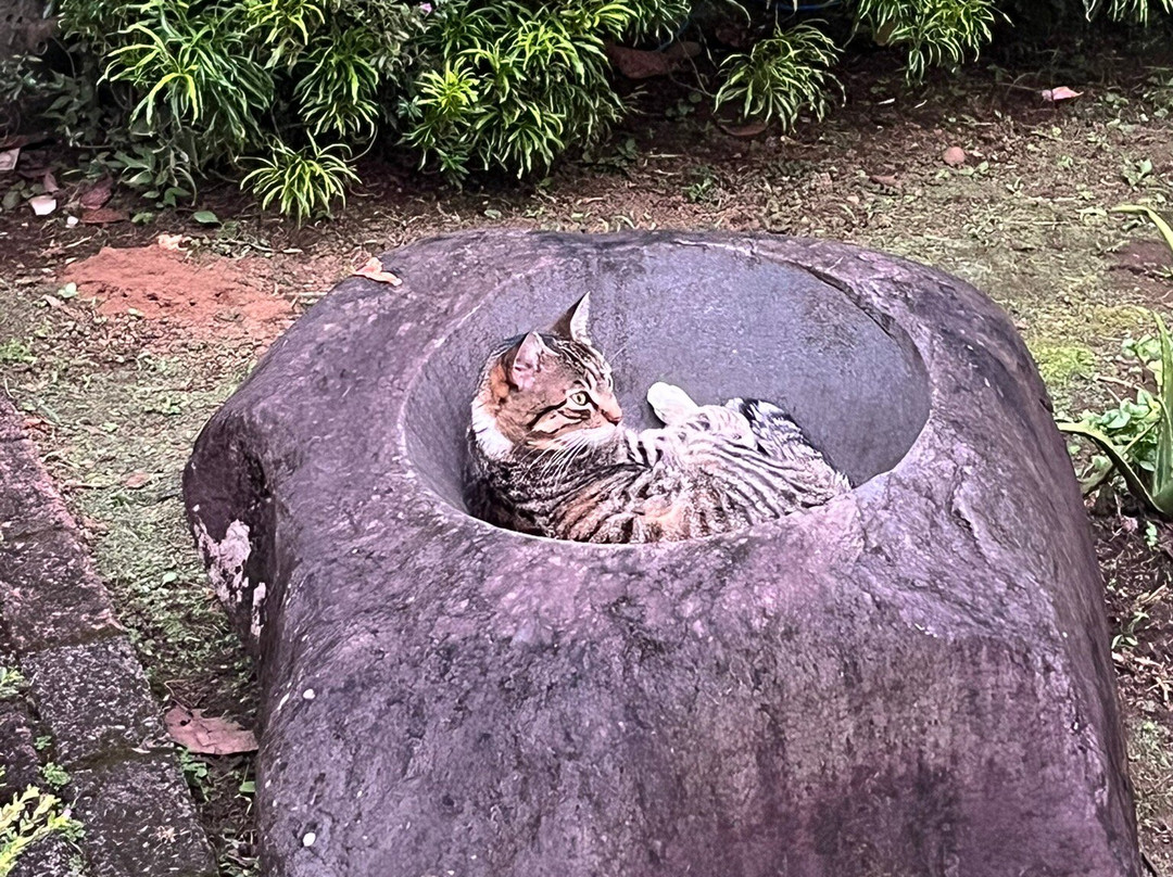 Gingerbread Hotel主图
