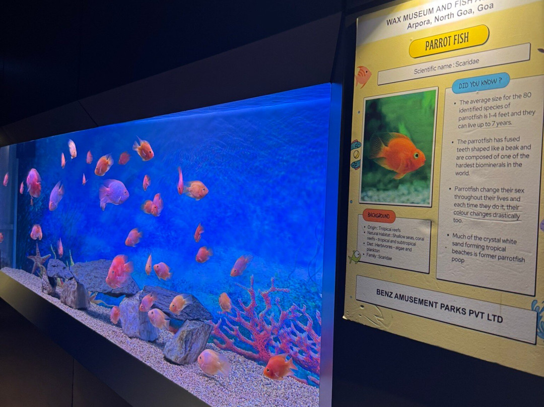 Benz Celebrity Wax Museum-加兰古特必去景点