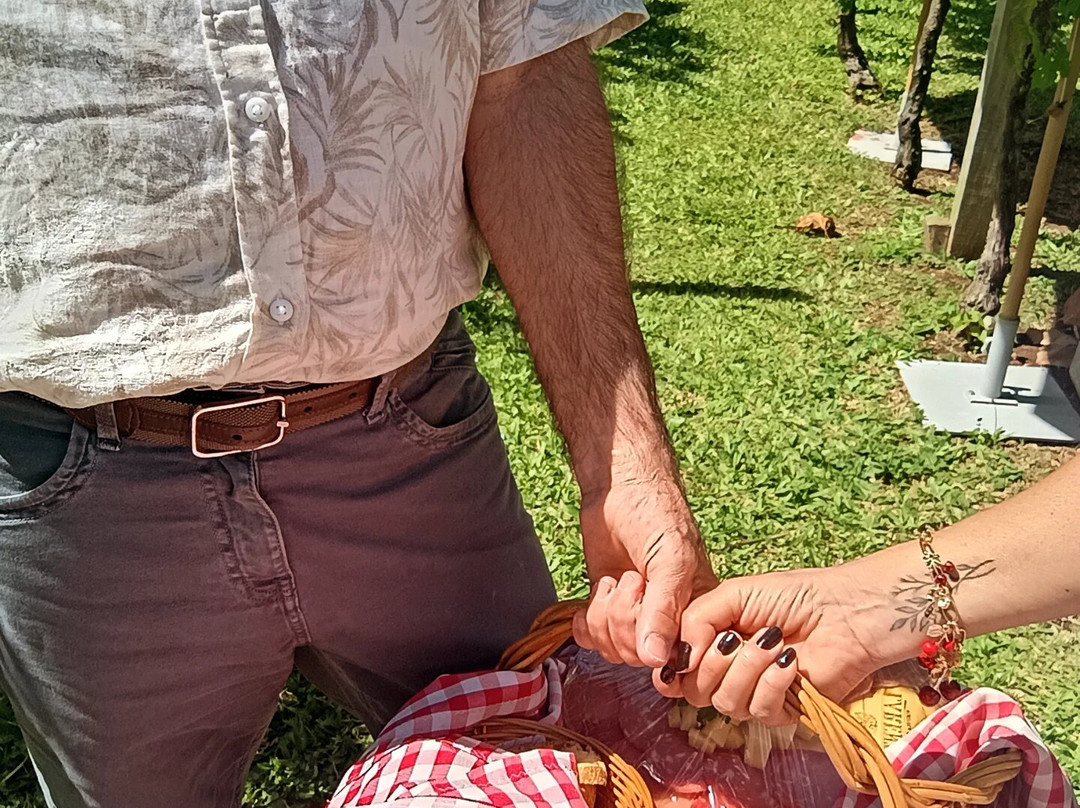 Vinhos Larentis-本图贡萨尔维斯必去景点