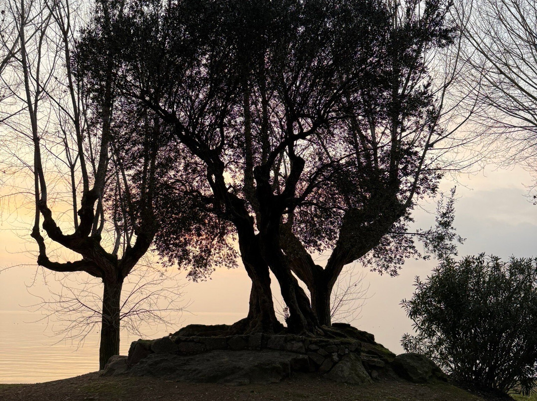 Lungolago di Bardolino-巴尔多利诺必去景点