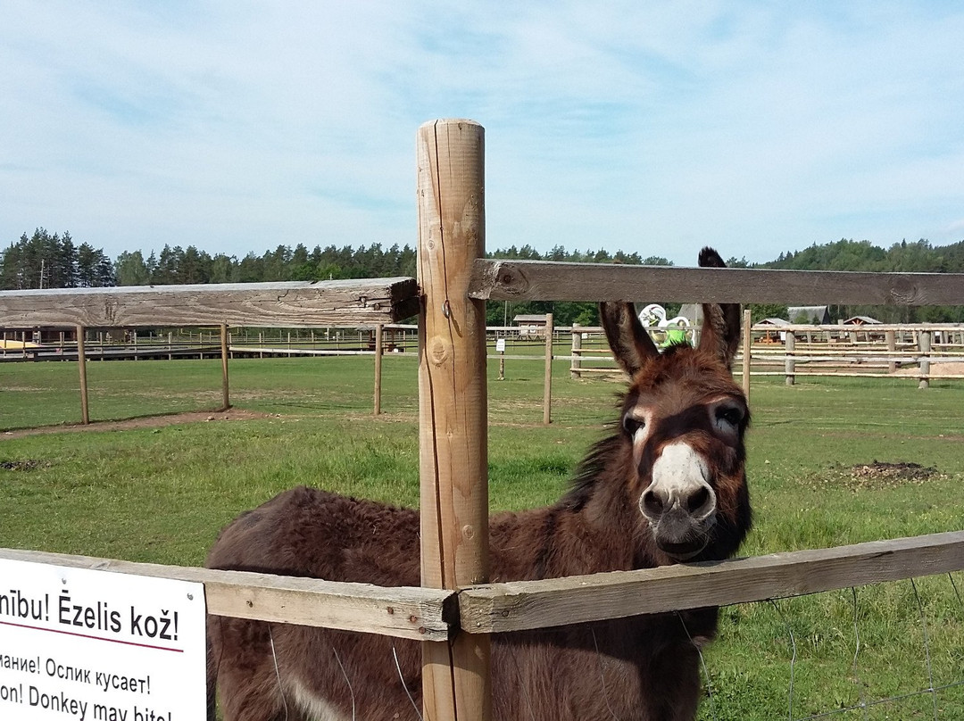 Recreation Complex Raksi-Amatas Novads必去景点