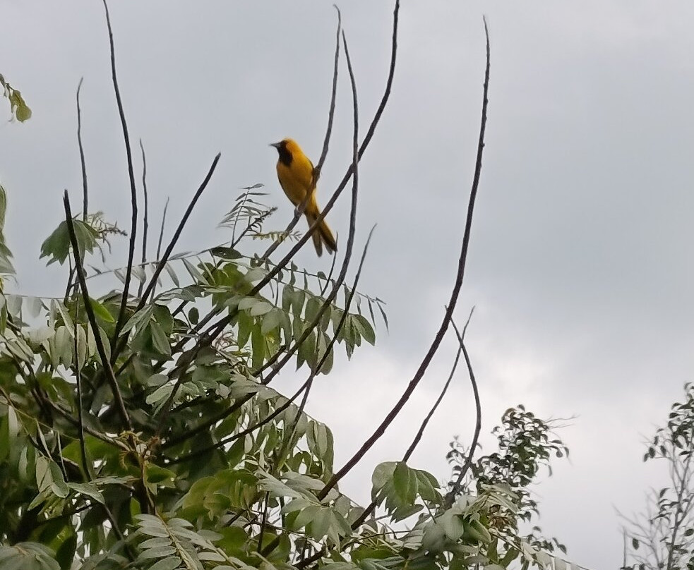 Hosteria Izhcayluma Spa-Vilcabamba必去景点