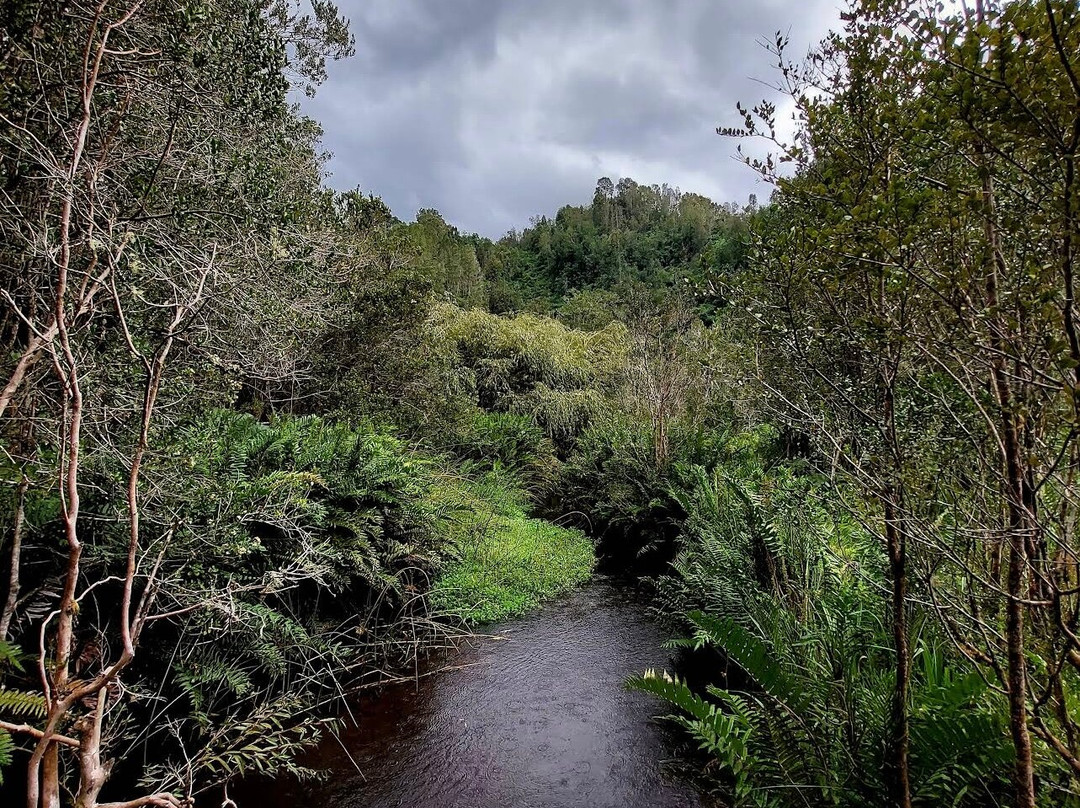 Termas del sol-Cochamo必去景点