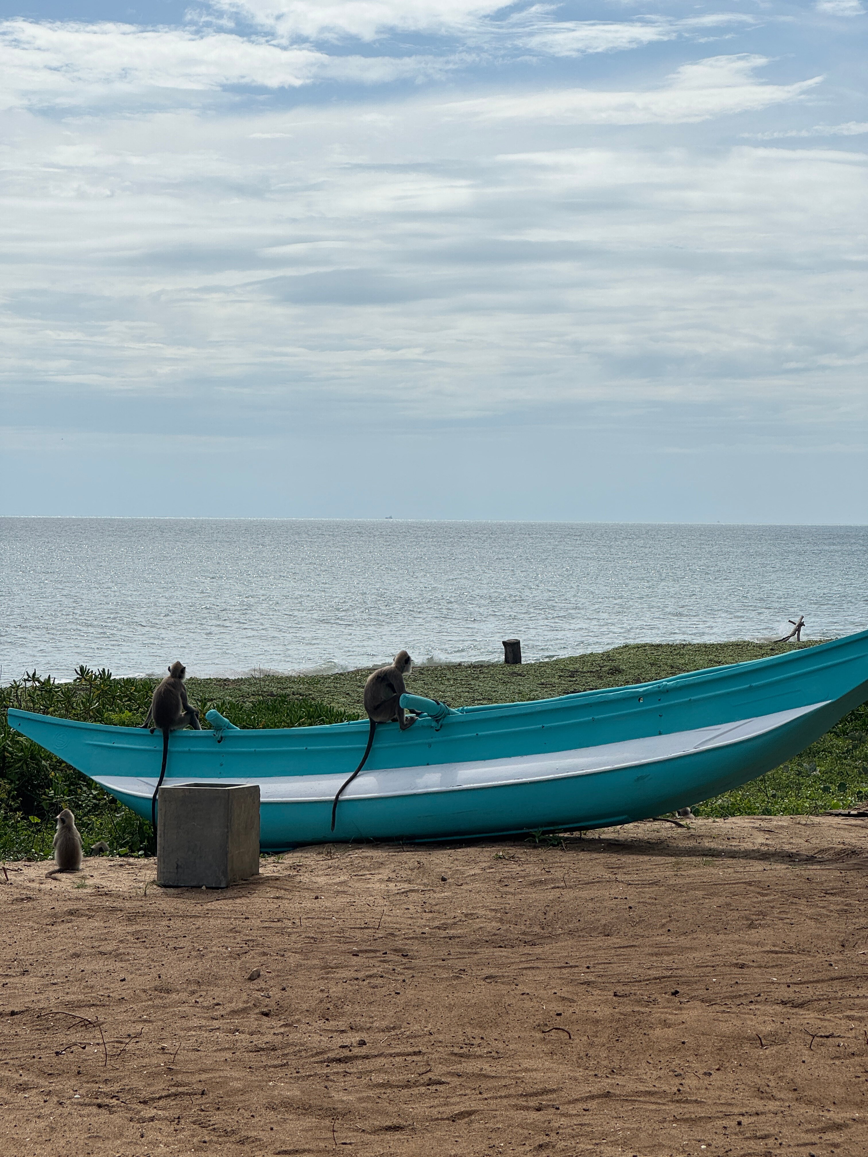 汉班托塔香格里拉Spa度假酒店-泳池