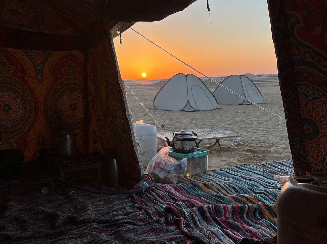 tamer safari-开罗必去景点