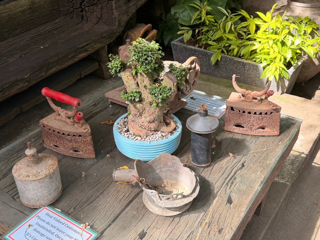 Hidden Garden-维甘必去景点