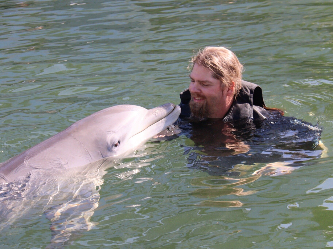 Dolphin Life-拉哥岛必去景点