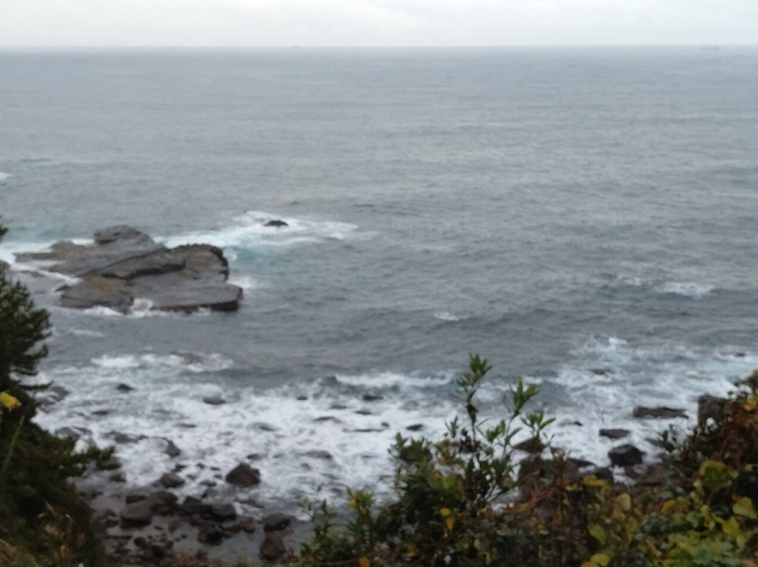 Tomyozaki-太地町必去景点
