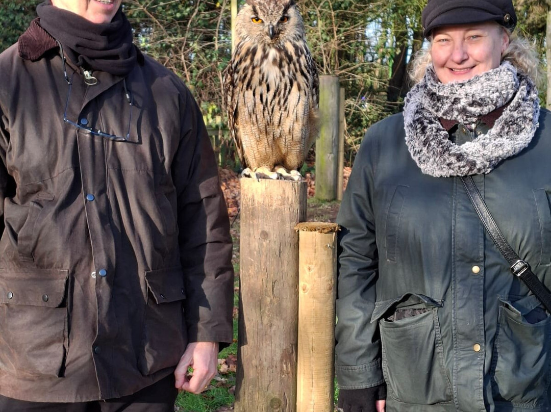 Mercer Falconry Raptor Park-Farnsfield必去景点