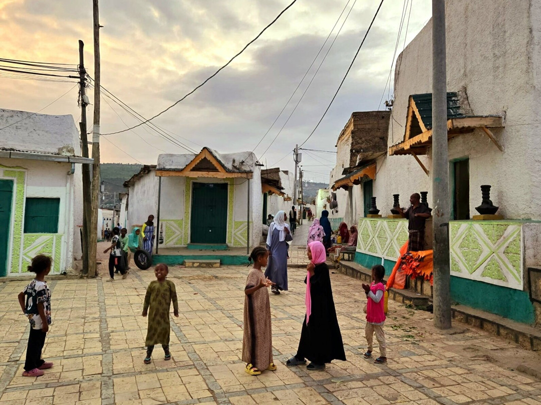 Edom Harar Tours & Car Rentals-哈勒尔必去景点