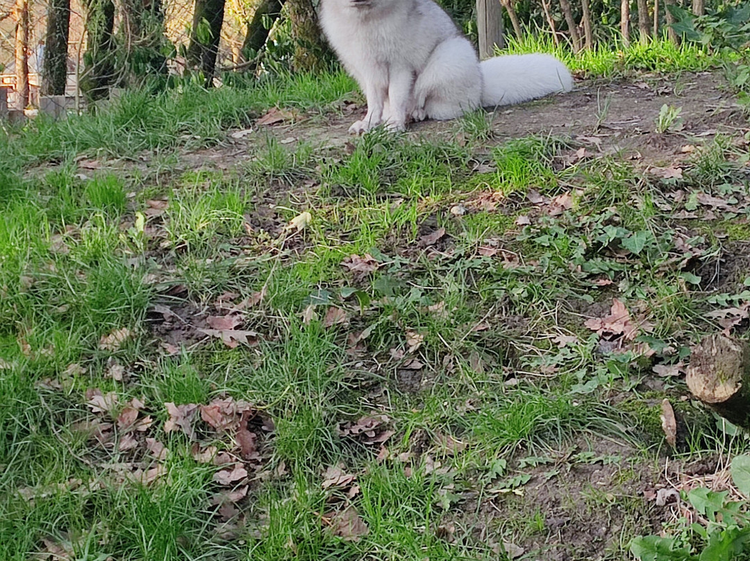 Legendia Parc-Frossay必去景点