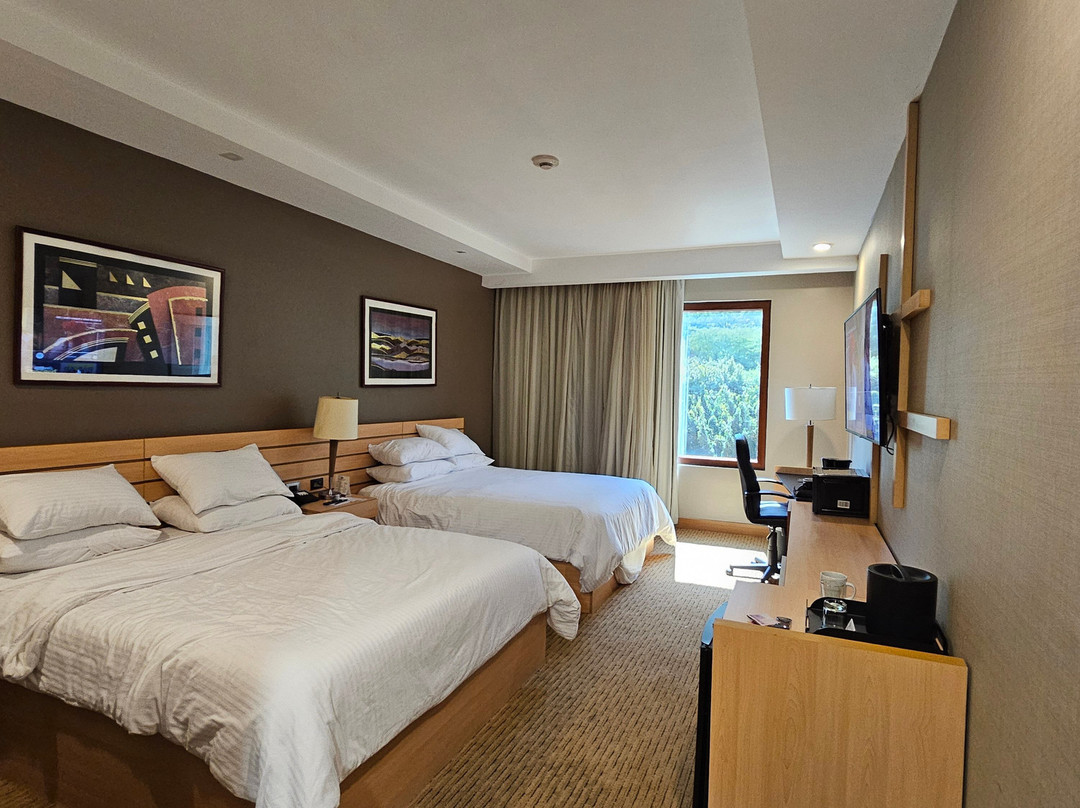 Eurobuilding Express Maiquetia主图