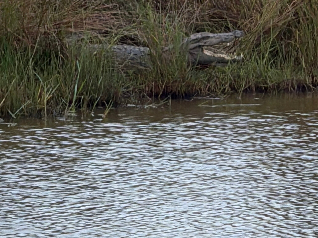 EMI Tours - Sri Lanka-Waikkal必去景点