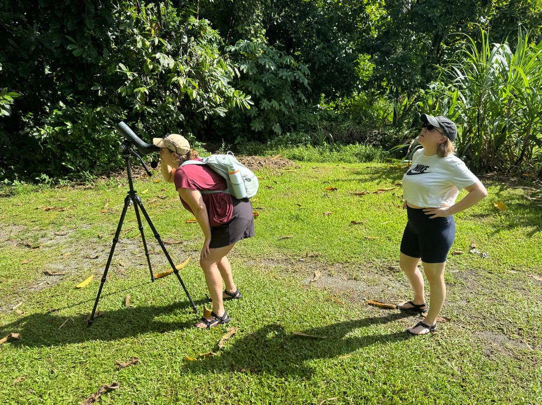 Eureka Natural History Tours-斯卡伯勒必去景点