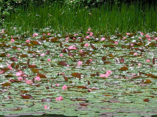 Lake Logan Marina-洛根必去景点