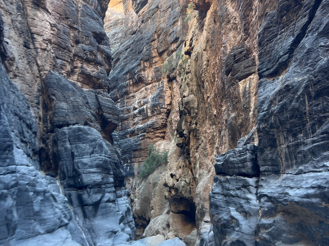 Snake Canyon Adventures-Ar Rustaq必去景点