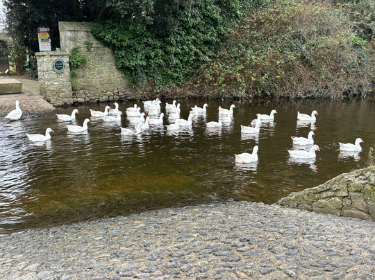 Lismacue House主图