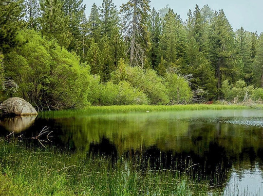 Bluff Lake Reserve-大熊湖必去景点
