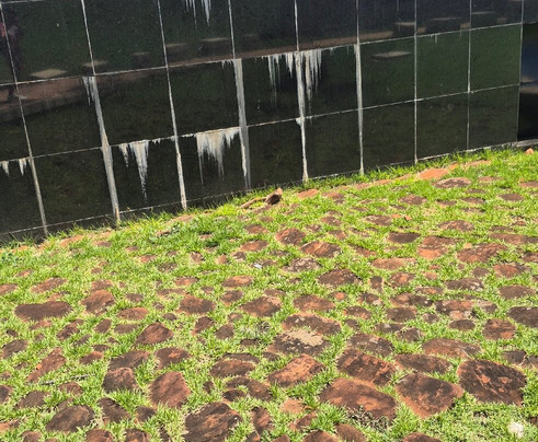 Praça Tomi Nakagawa-Londrina必去景点